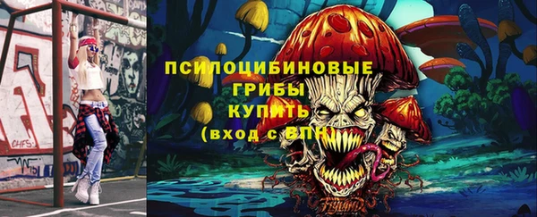 кокс Богородицк