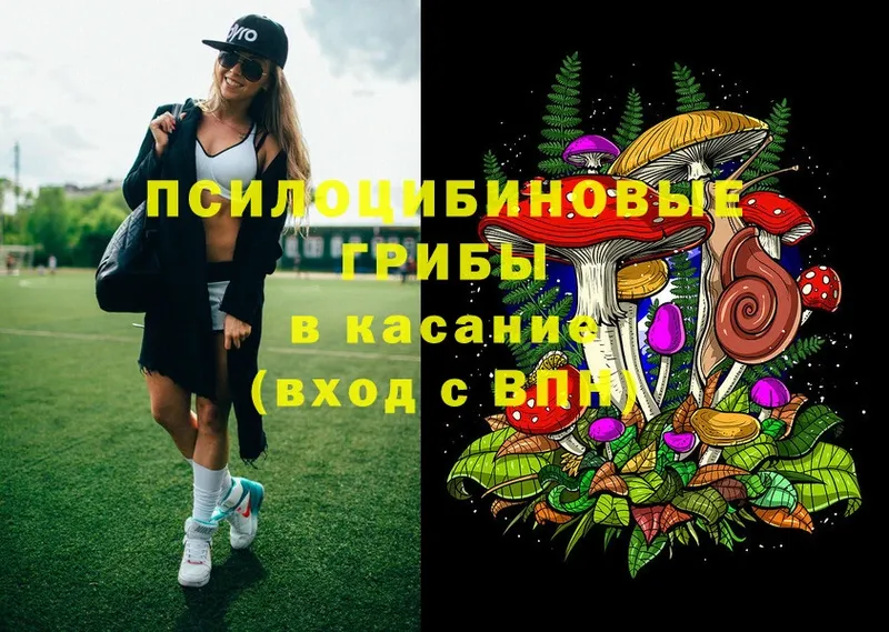 где продают   Миасс  Псилоцибиновые грибы Psilocybine cubensis 